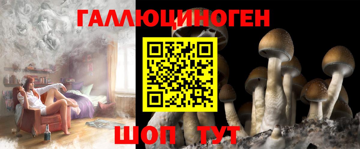 Псилоцибиновые грибы Cubensis  Вход с VPN  Урус-Мартан  Псилоцибиновые грибы прущие грибы 