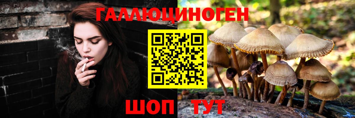 Галлюциногенные грибы GOLDEN TEACHER Урус-Мартан